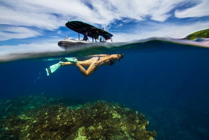 Premium Kona Coast Morning Snorkel - Kealakekua Bay first: Captain Cook country and reef fish you can’t ignore
