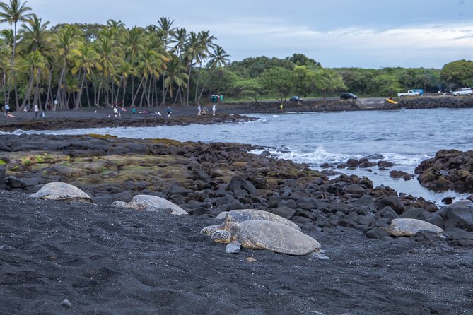 Private - All Inclusive Big Island Circle Tour - Wailuku River to Hilo: waterfalls, photos, and rainforest mood
