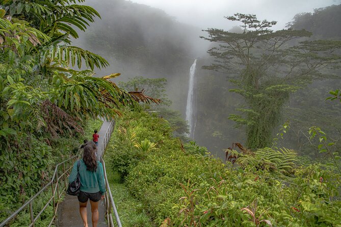 Private - All Inclusive Big Island Waterfalls Tour - Onomea Bay drive: rainforest roads and quick photo breaks