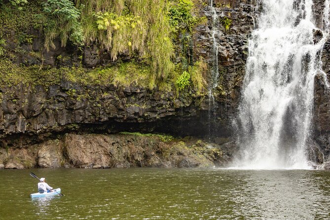 Private - All Inclusive Big Island Waterfalls Tour - Hamakua Coast to Waipio: the lookout moment