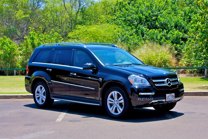 Private Arrival Transfer: Kona International Airport to Big Island Hotels - From baggage claim to your car: how the pickup really plays out