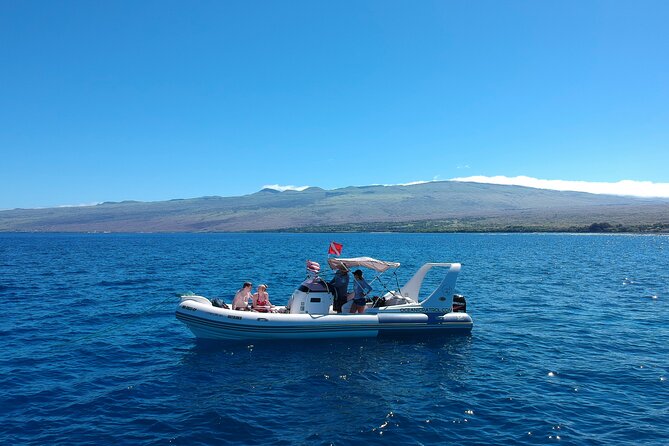Private Big Island Snorkeling - Key highlights you’ll feel right away