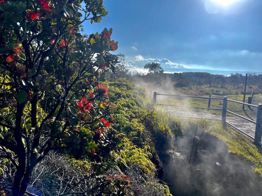 Private Big Island Tour:Coffee, Beaches,Volcanos & Waterfall - Price and value for groups up to six