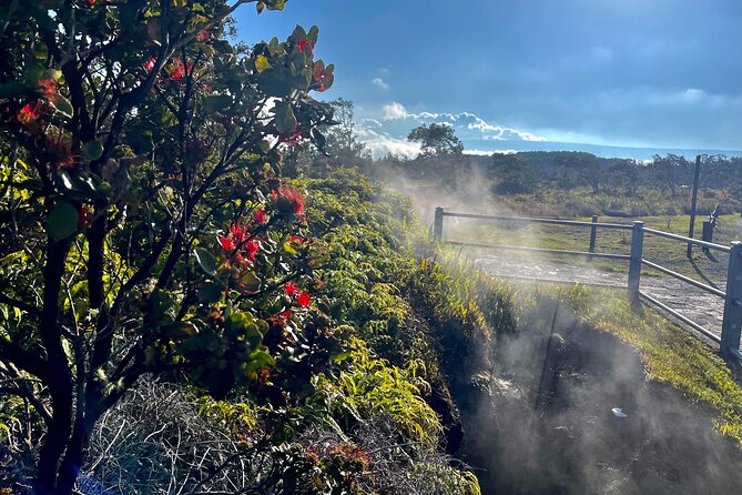 Private Big Island Tour: Coffee, Beaches, Volcanos, Waterfalls - Hilo scenic drive and the “breathing room” between big stops