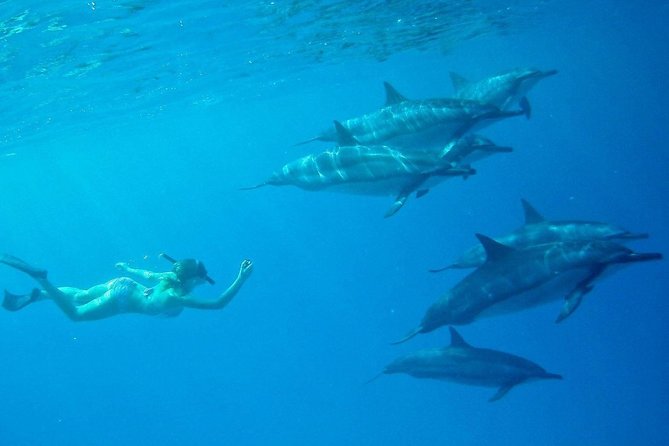 Private Charter: Customizable Big Island Boat Adventure - Food and Comfort: Lunch, Snacks, and Shade Time