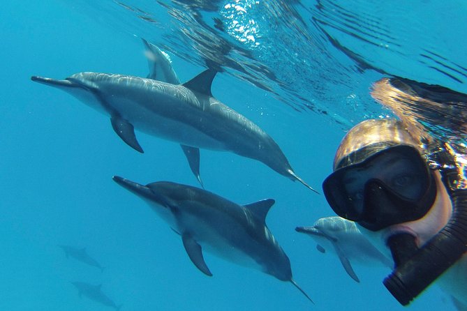 Private Charter: Customizable Big Island Boat Adventure - What’s Included vs. What You’ll Need to Arrange