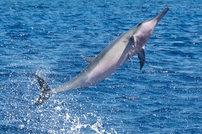 Private Custom Charter in Kawaihae - The Crew Experience: Friendly, Professional, and Local