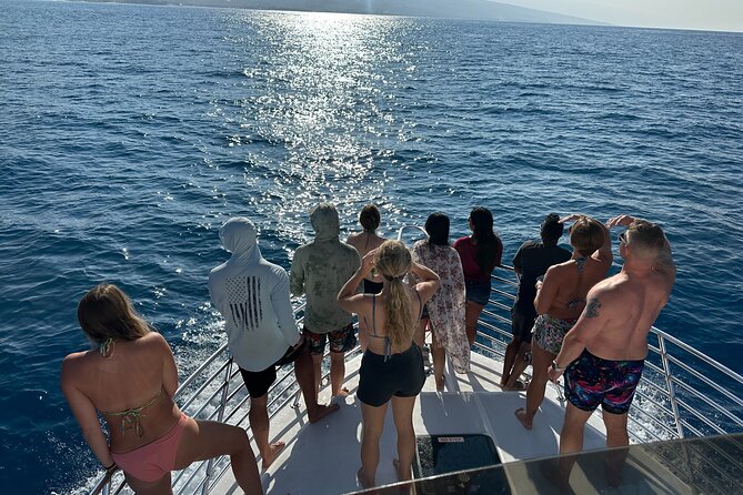 Private & Custom - Family Fish and Snorkel Charter - Gear, Snacks, Water, and Licenses: What’s Included (and Why It Matters)
