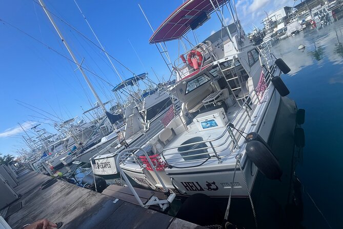 Private & Custom - Family Fish and Snorkel Charter - The 7:30 AM Start and the 4.5-Hour Flow