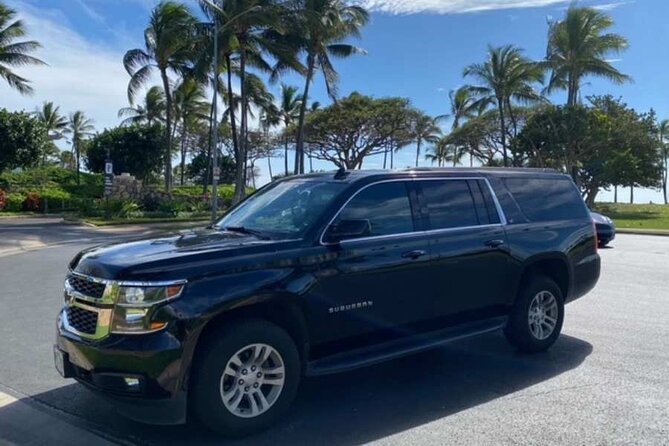 Private Departure Transfer: Big Island Hotels to Kona International Airport - Private Mercedes Departure Transfer: the value of a no-drama send-off