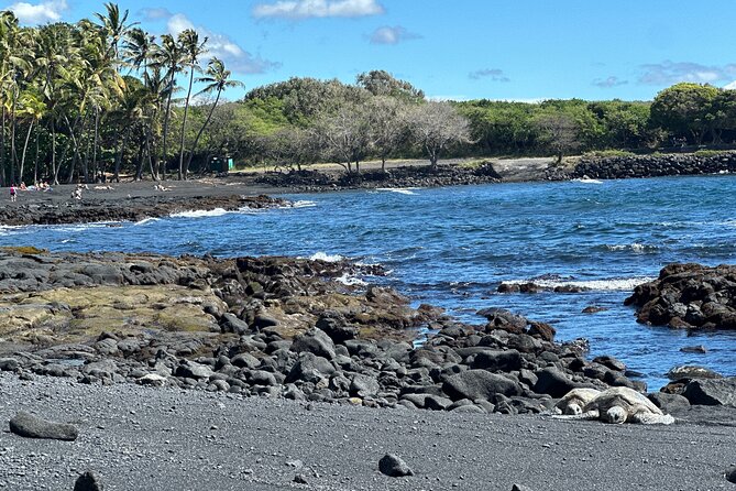 Private Hilo Shore Excursion to Volcano Waterfall and Black Sand - ʻAkaka Falls option: the waterfall finish with routing flexibility