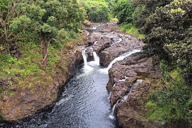 Private Hilo Shore Excursion Volcano National Park up to 10 - Volcano village to macadamia tasting: why this stop keeps the day fun