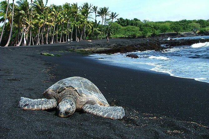 Private Island Volcano Tour in Hawaii with Pickup Included - Door-to-door private touring on the Big Island