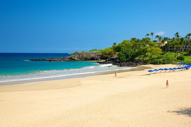 Private Island Volcano Tour in Hawaii with Pickup Included - Ka‘u Coffee Mill and Punalu’u Bake Shop: breaks that taste like Hawaii