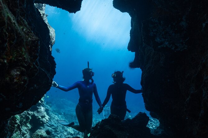 Private Kealakekua Bay Snorkel and Dolphin Watch - Dolphin watch and winter whales: what you’re really signing up for