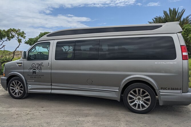 Private Luxury Van with Driver to Big Island Destinations of Your Choice - Why a Private Luxury Van Makes North Big Island Easier