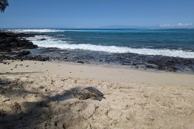 Private Luxury Van with Driver to Big Island Destinations of Your Choice - What You Get for Your Money: Beach Gear and Group Comfort