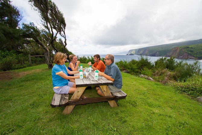 Private Ohana Kohala Waterfalls Adventure - Price and value: What $418.85 buys you