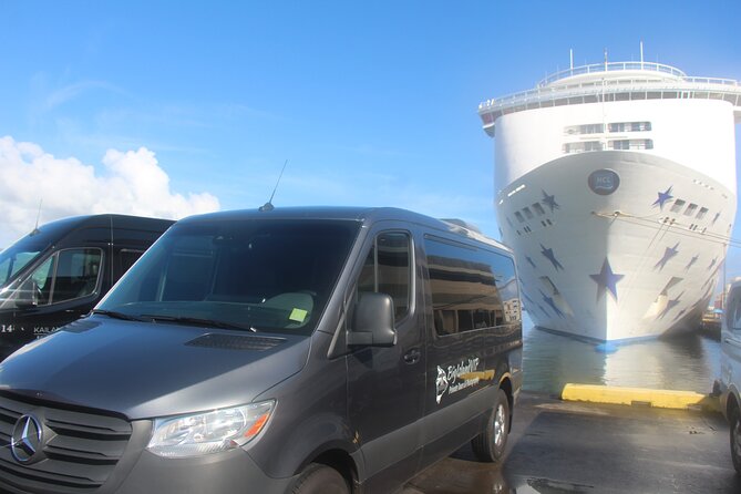 Private Shore Excursion Hilo Volcanoes National Park up to 10 PPL - Private Mercedes Van Makes This Day Feel Personal