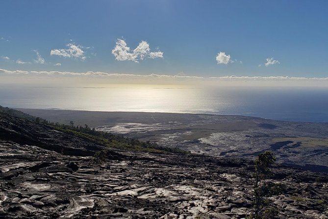 Private Shore Excursion Tour: Hawaii Volcanoes National Park - Key things that make this tour work well