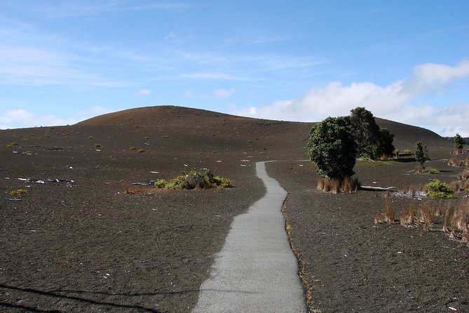 Private Tour: Hawaii Volcanoes National Park Eco Tour - Devastation Trail: seeing what a 1959 eruption covered
