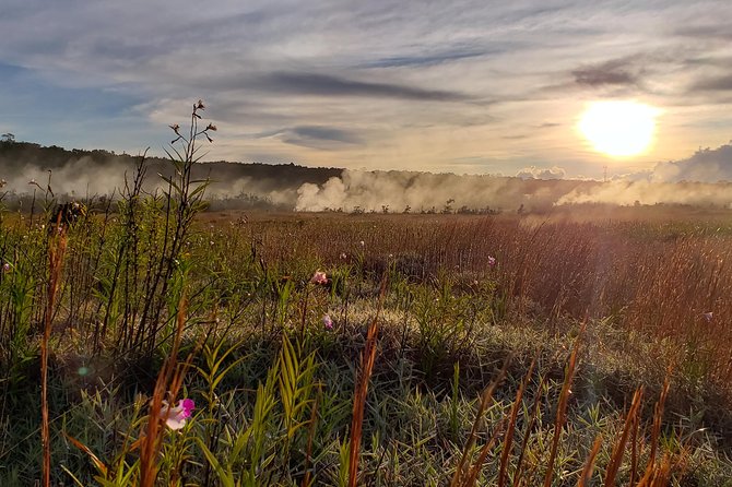 Private Tour of Hawaii Volcanoes National Park - How 2–3 Hours Works: A Short Tour That Still Feels Worth It