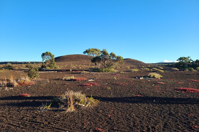 Private Tour of Hawaii Volcanoes National Park - Who This Tour Fits Best (and Who Might Prefer Something Else)
