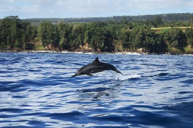 Royal Humpback Whale Exploration - Hitting the water: what the 1.5-hour trip actually feels like