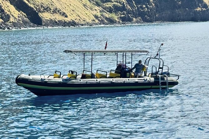 Seasonal Small-Group Humpback Whale Watching in Kona - Small-group boat setup: max 10 people changes the whole experience