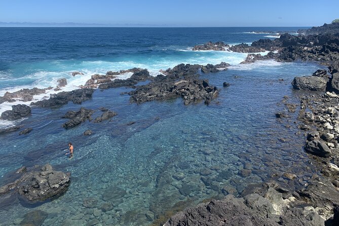 Secret Tide Pool Hike - Jungle & Coast - Private - The Terrain Challenge: Jungle, Boulder Fields, and Lava Rock Reality Check