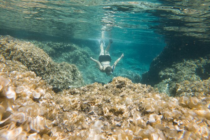 Secret Tide Pool Hike - Jungle & Coast - Private - Shoes, Water Shoes, and Why Your Feet Decide the Experience