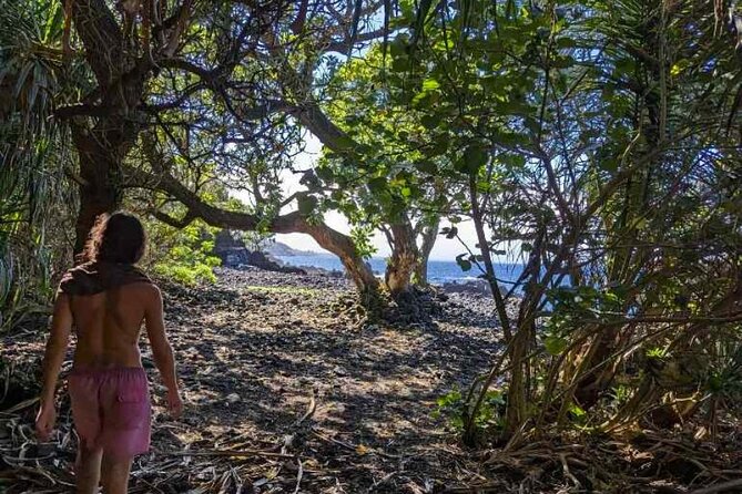 Secret Tide Pool Hike - Jungle & Coast - Private - Jungle-to-Coast Wildlife: What You Might Spot Along the Way