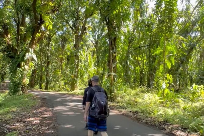 Secret Tide Pool Hike - Jungle & Coast - Private - Stop Patterns: How Hilo and Pahoa Fit Into Your Day