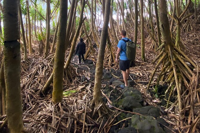 Secret Tide Pool Hike - Jungle & Coast - Private - The hike to Government Beach Rd: jungle shade and lava reality