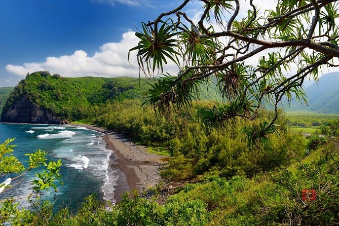 Self-Guided Audio Driving Tour in Big Island - The north side detour: Hawi, Ka‘apau, and Pololu Valley lookout