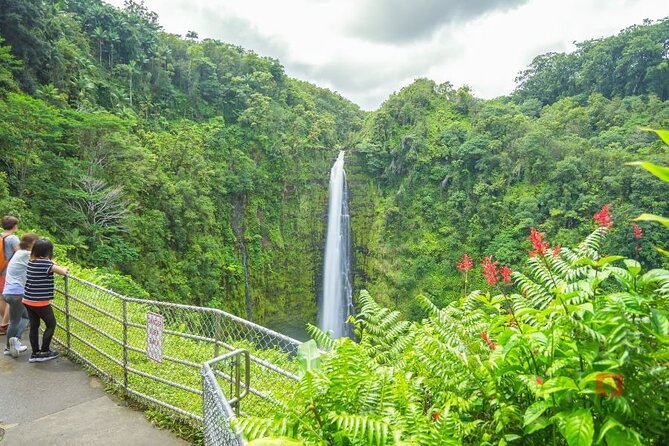 Self-Guided Audio Driving Tour in Big Island - Hilo and the east loop: lush rain, Rainbow Falls, Boiling Pots, and lava tubes
