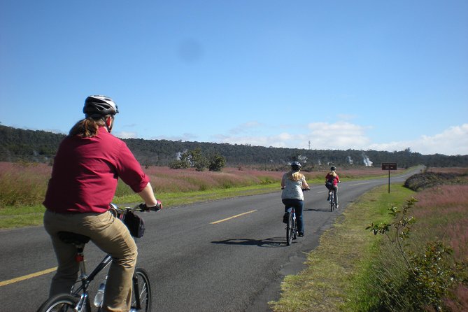 Self-Guided GPS Audio E-Bike Tour Hawaii Volcanoes National Park - Stop 2: Nahuku Crater and Thurston Lava Tube (15-minute reset, big payoff)