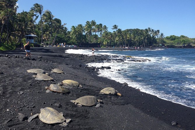 Small-Group Big Island Tour: Hawaii Volcanoes National Park and Kona Coffee Farm - A Long Day That Actually Feels Worth It