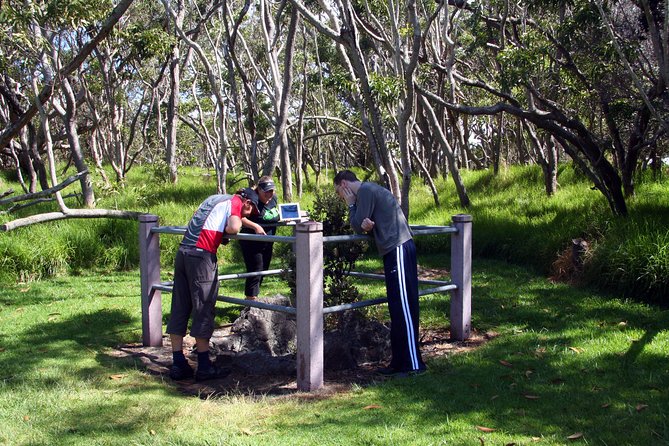 Small-Group Big Island Tour: Hawaii Volcanoes National Park and Kona Coffee Farm - Punalu’u Black Sand Beach: The Sea Turtle Chance