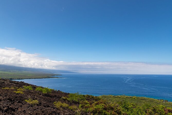 Small-Group Snorkel at Kealakekua Bay in Captain Cook, Big Island - Dolphins, whales, manta rays, and the other reef performers