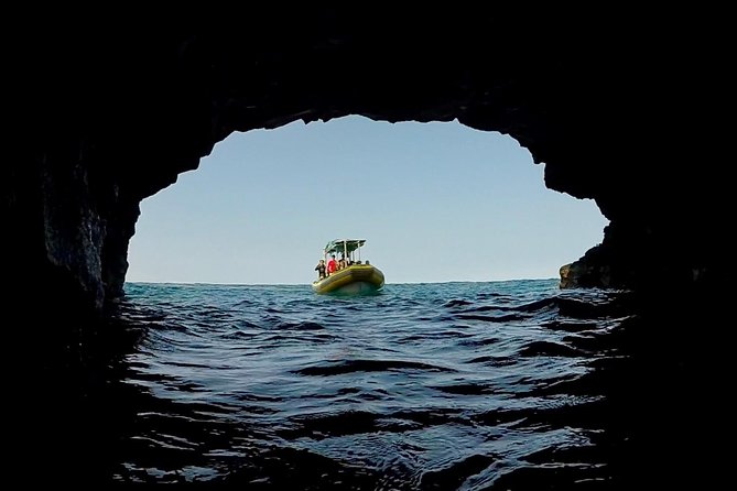Small Group Snorkeling Expedition South Kona - Price and value: what $200.27 is buying you