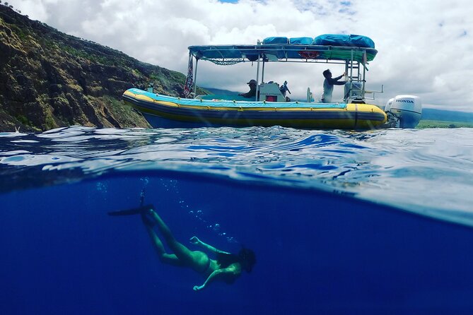 Small Group Snorkeling Expedition South Kona - Who should book this (and who should skip it)