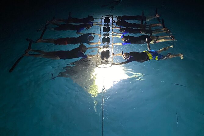 Sunset and Manta Ray Snorkel Adventure - Gear, Clothing, and the Cold-Water Reality