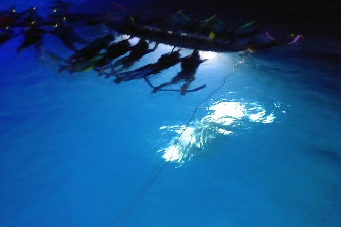Sunset and Manta Ray Snorkel Adventure - Sailing the Kona Coast: The 50-Foot Catamaran Sunset Part