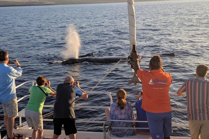 Sunset Cruise with the Whales on our Sailing Catamaran - Life on Board: Open Bar, Pupu Snacks, and the Pace