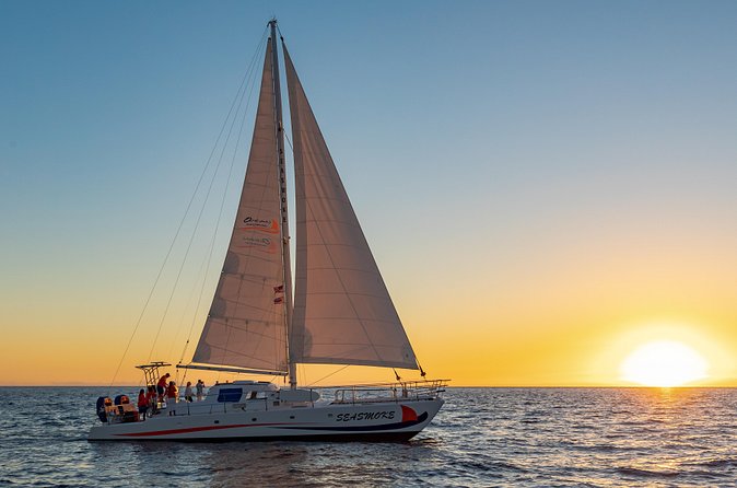 Sunset Cruise with the Whales on our Sailing Catamaran - How the Whale Watching Works (And Why the Rules Matter)