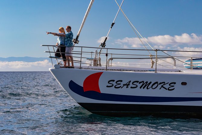 Sunset Cruise with the Whales on our Sailing Catamaran - Value Check: Is $165 Worth It on the Big Island?
