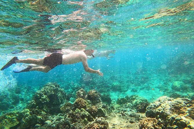 Tropical Reef & Wildlife Boat Snorkel Adventure - Snorkeling off Hilo: coves, sand patches, and reef structures
