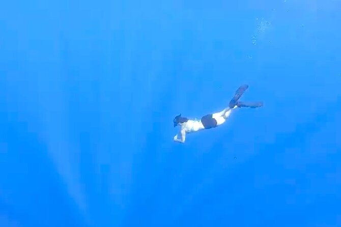 Tropical Reef & Wildlife Boat Snorkel Adventure - Weather and the reality of marine life sightings