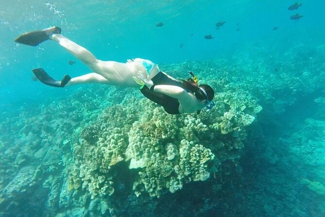 Two Reef Snorkel Trip-See Captain Cook Monument & Sea Caves - Snorkel gear, snacks, and the crew help that makes a difference